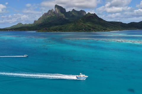 Bora Bora : Sortie de pêche privée en Catamaran Kevlacat "Tara Viti"