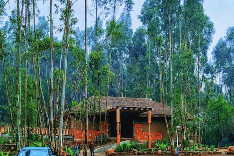 Addis Ababa: View, Park, Museum & Market Guided Walking Tour