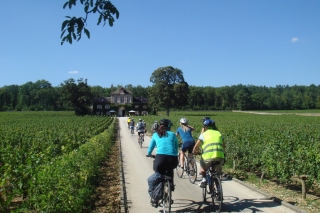 From Beaune: Full-Day Bicycle and Wine Tour in Burgundy