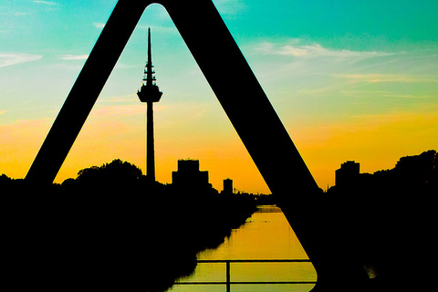 Mannheim : Tour en Segway le long de la rivière Neckar