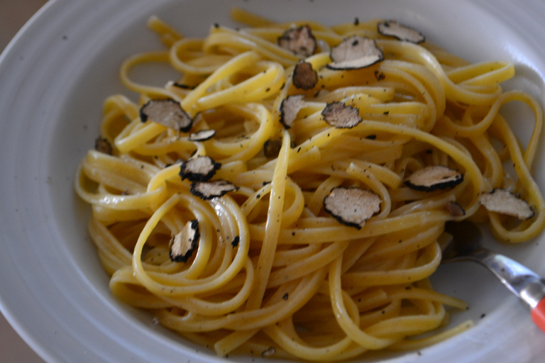 Firenze: Caccia al tartufo, tour gastronomico e tour del vino per buongustaiFirenze: tour di caccia al tartufo, degustazione di vini e pranzo