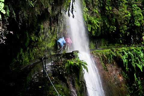 Madeira Adventure: Lewada do ReiMadera: całodniowa wycieczka piesza po lesie Laurisilva