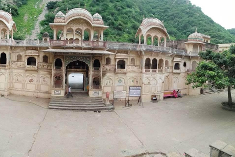 From Delhi: Private Golden Triangle with Ranthambhore Safari MTA027/02 - Private Tour With Transport + Guide + Safari