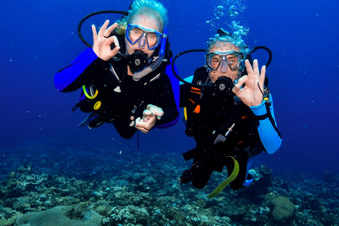 Port Douglas: Great Barrier Reef Introductory Scuba Diving