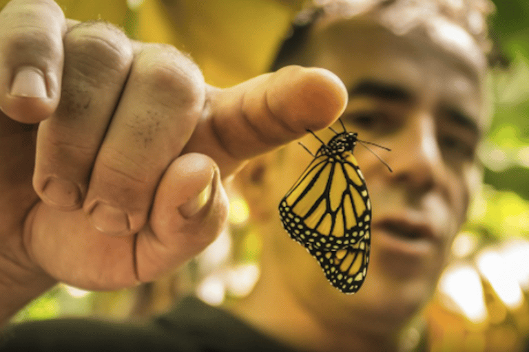 La Palma : Tour guiado EcoFinca Platanologico &quot;el bosque comestible&quot;