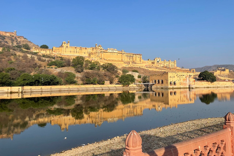 Desde Delhi: Visita guiada privada de la ciudad de Jaipur con trasladosSólo servicios de coche con conductor y guía turístico