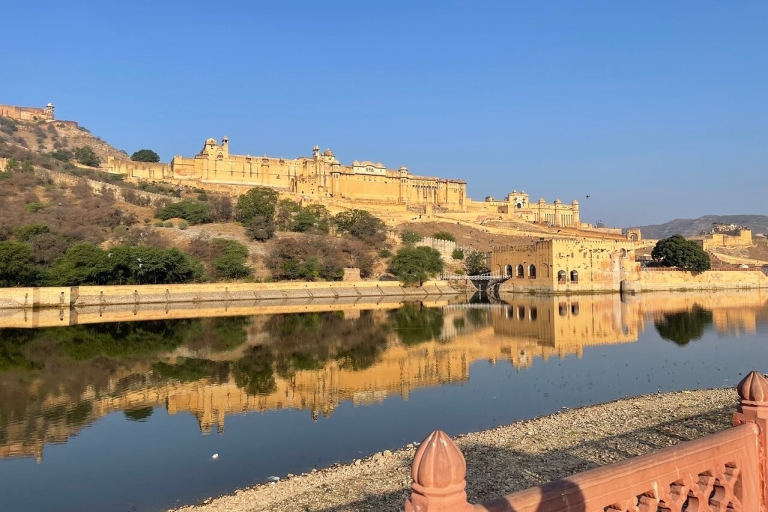 Desde Delhi: Visita guiada privada de la ciudad de Jaipur con trasladosSólo servicios de coche con conductor y guía turístico
