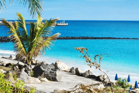 Private: Puerto Plata Culinary & Beach Relaxation Experience