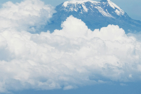 7-Days Rongai Route Kilimanjaro Climbing Group Joining Tour