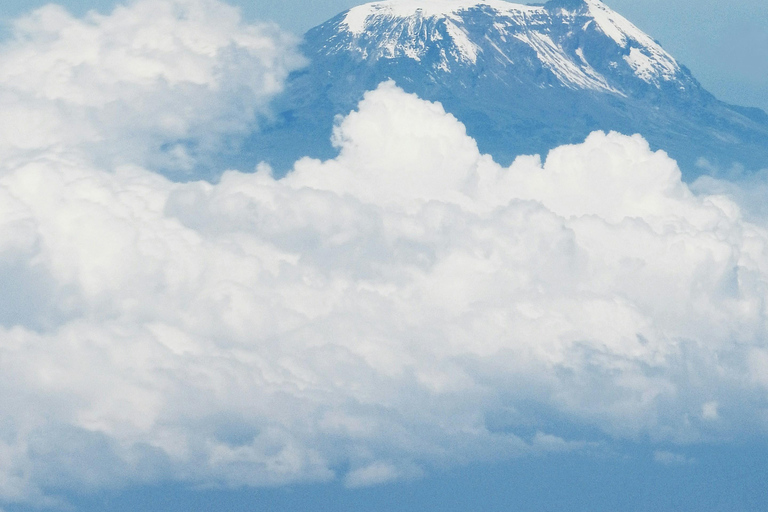 7-Days Rongai Route Kilimanjaro Climbing Group Joining Tour