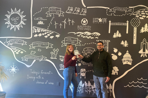 San Antonio: Fredericksburg Wineries Day Trip with Tastings Tour in English