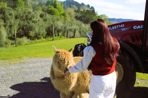 Christchurch: 2 dni i 1 noc z Mt Cook i jeziorem Tekapo Stargazing