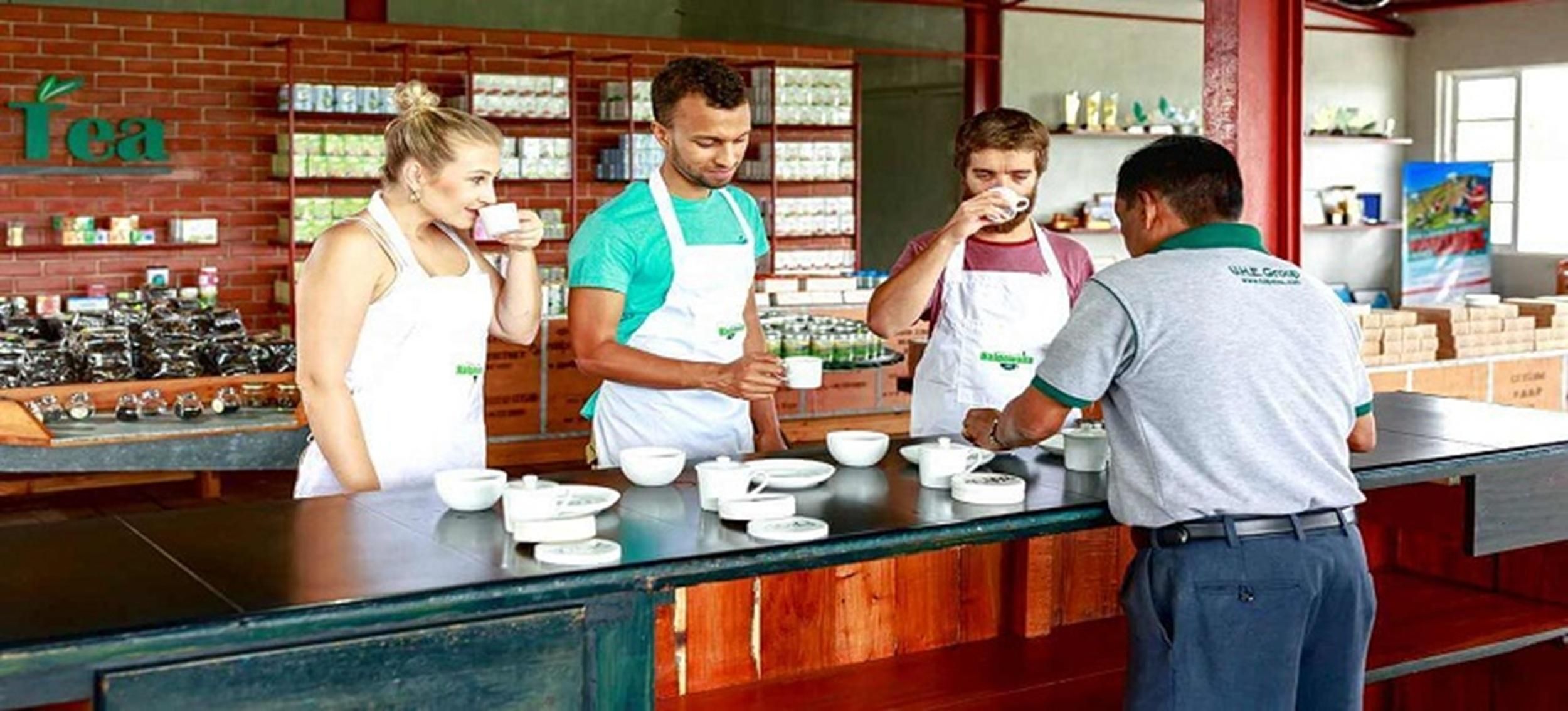 Nuwara Eliya: Ella-Tagestour mit Teefabrik, Brücke & mehr