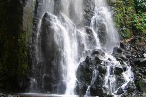 Full-Day 4x4 Nordeste Azores Tour from Ponta Delgada