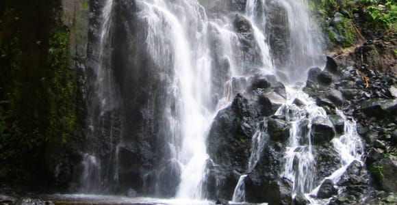Ganztagestour 4x4 Nordeste Azoren ab Ponta Delgada