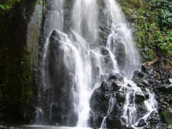 Excursión de día completo en 4x4 por el Nordeste de las Azores desde Ponta Delgada