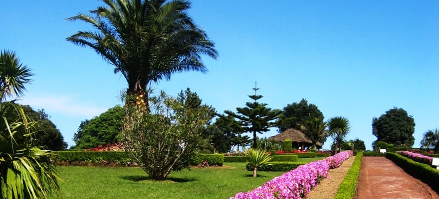 BESTE Garten und Parktouren Ponta Delgada 2024 KOSTENLOS stornierbar