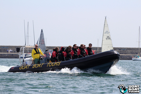 Dublín: tour en barco por la historia y la fauna con comentarios en directo