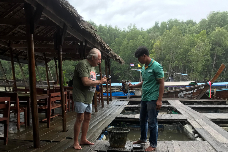 Ko Lanta: Halve Dag Tour EXPLORE MANGROVE per KAYAKING Tour