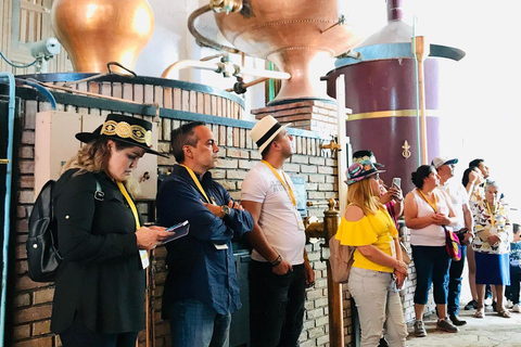 Rondleiding &quot;Parras de la Fuente&quot;, met gids, transfer en tickets