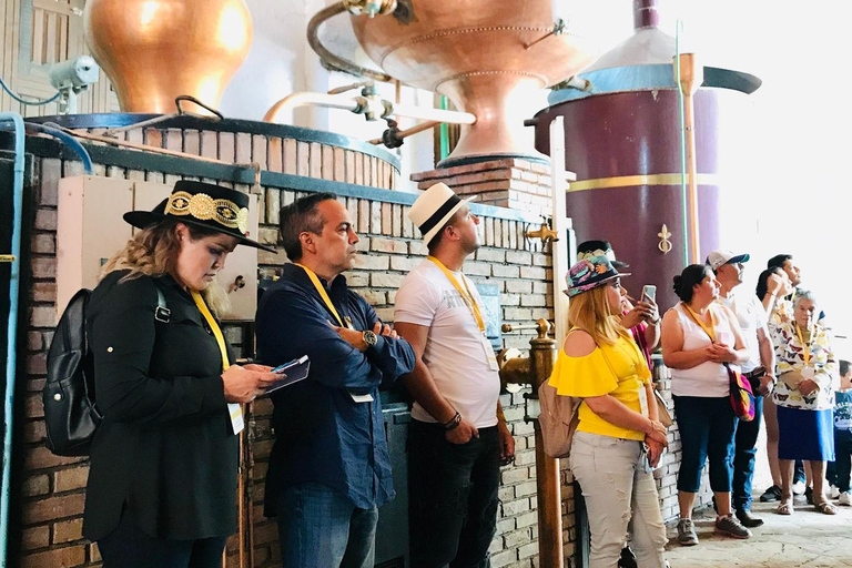 Rondleiding &quot;Parras de la Fuente&quot;, met gids, transfer en tickets