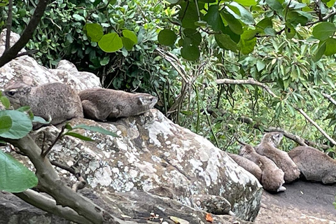 Nairobi: Kitengela Glass Tour with Glass Blowing
