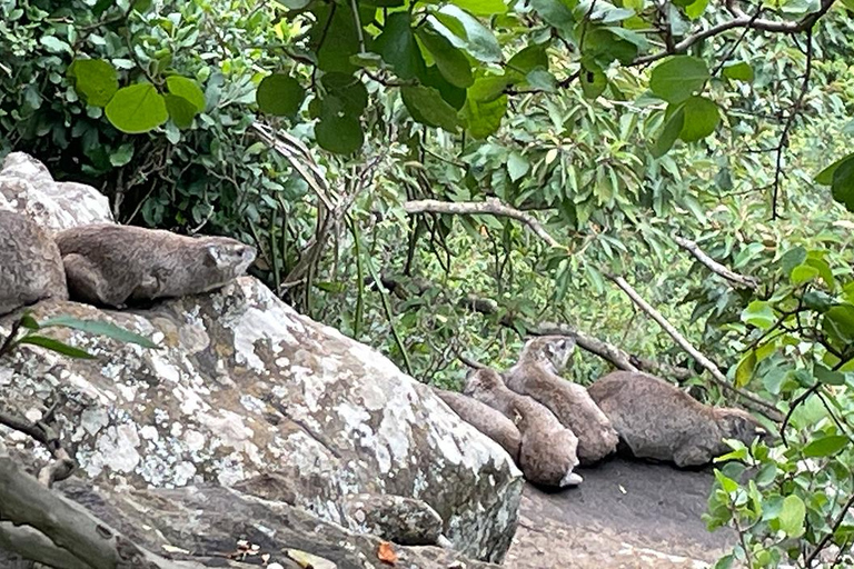 Nairobi: Kitengela Glass Tour with Glass Blowing