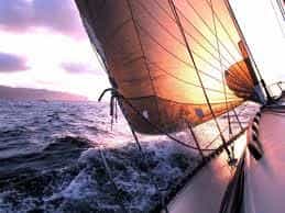 luxury private yacht cruise with whale and dolphin watching