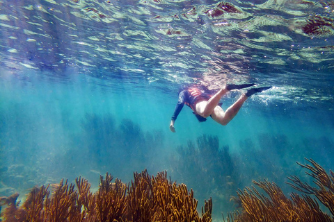 Puerto Morelos Snorkel z obiadem