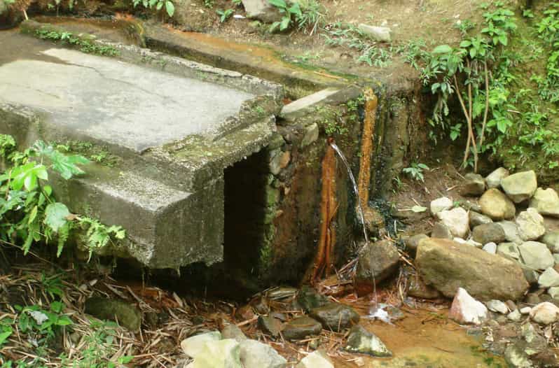 SainteLucie, tout simplement magnifique Excursion à terre GetYourGuide