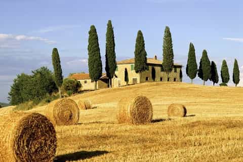 Het best van Toscane: dagvullende tour vanuit Florence