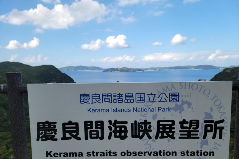 From Naha : Kerama, Tokashiki Island and Whale Watching Tour Tokashiki island + Whale watching