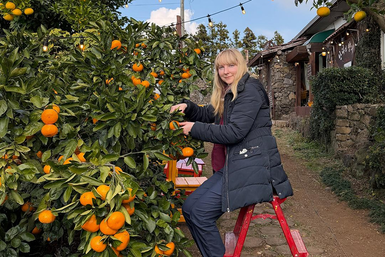 Jeju: Udo Island, Seongsan & Tangerine Picking Tour