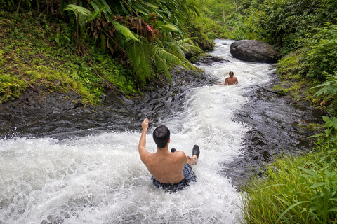 Bali: Sekumpul Waterfall With Waterslide & Rice Terrace Trek Group Tour with Hotel Transfer in Central Bali Area