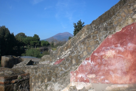 Pompeii and Amalfi Coast: Shore Excursion from Naples Pompeii & Amalfi Coast Full-Day Private Tour