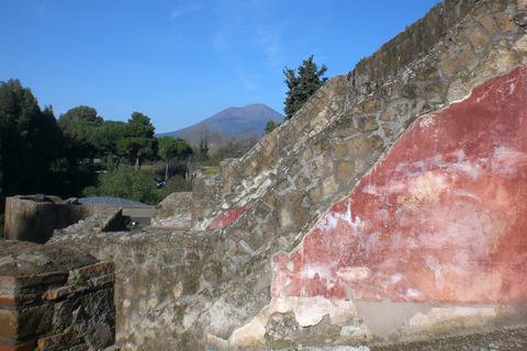 Vanuit Napels: excursie naar Pompeii en de AmalfikustPrivé-dagtour naar Pompeii en de Amalfikust