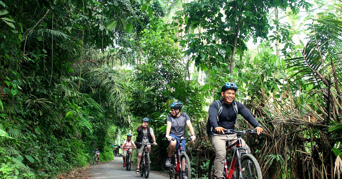 Ubud Downhill Bike Tour from Kintamani GetYourGuide