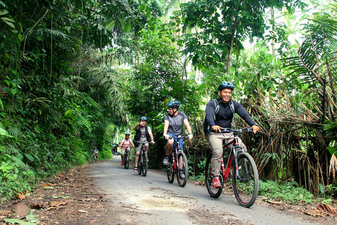 Ubud : Excursion à vélo en descente depuis Kintamani