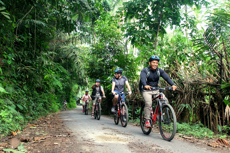 Ubud : Excursion à vélo en descente depuis Kintamani