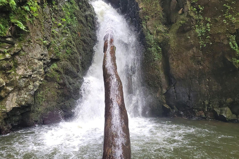 Découvrez et randonnez à São Miguel avec Rúben