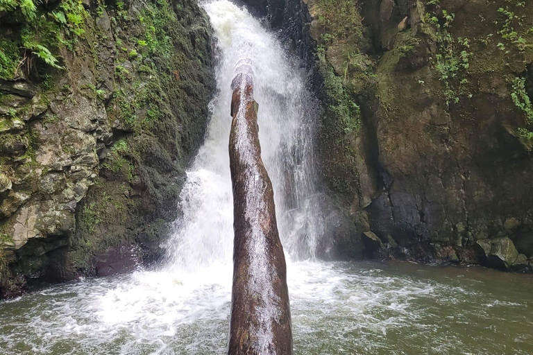Découvrez et randonnez à São Miguel avec Rúben