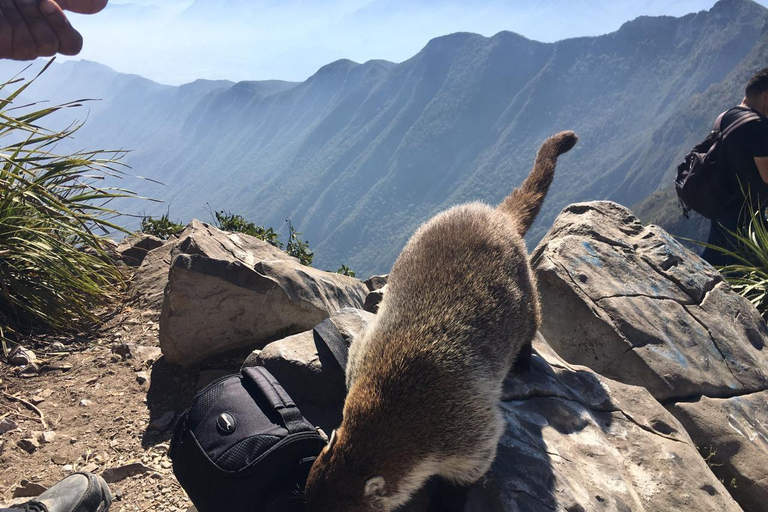 Tour escursionistico &quot;Cerro de la Silla&quot; con guida e trasferimentoMonterrey: Escursione al Cerro de la Silla
