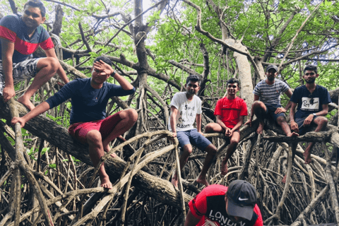 Bentota: Private Mangrove Cave Boat Tour & Wildlife Safari 1-Hour River Highlights Safari
