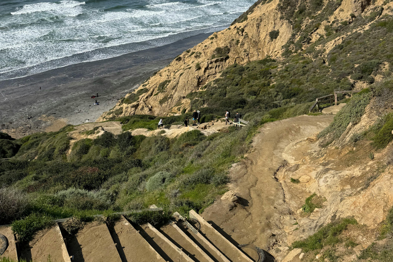 San Diego Torrey Pines Guided Hike and Picnic Private Tour