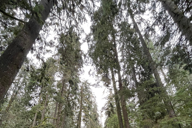 The Vancouver Summit Walk