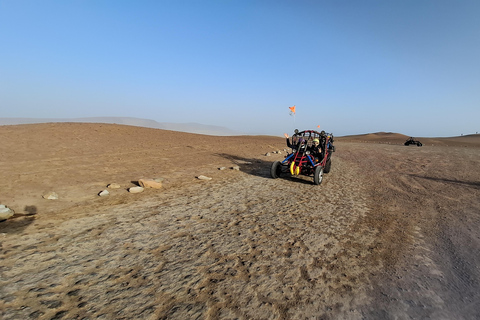 Paracas: Ballestas Islands Boat Tour & Mini Buggy Ride