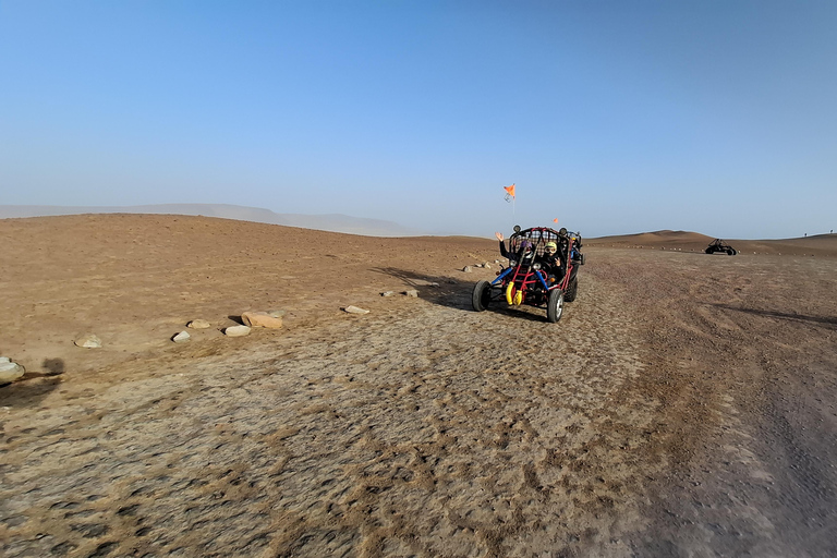 Paracas: Ballestas Islands Boat Tour & Mini Buggy Ride