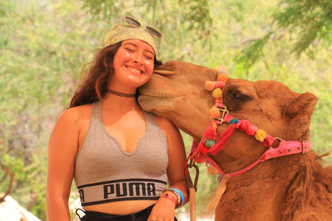 Los Cabos: Camel Ride in the Canyon & Thrilling Water-Slides