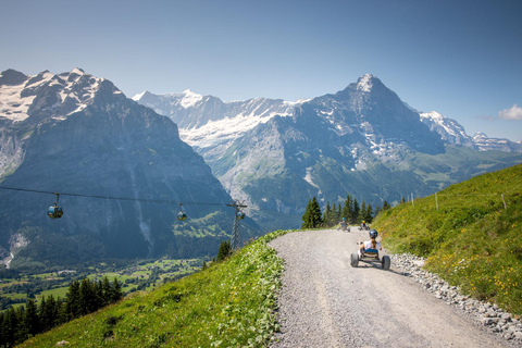 Vanuit Zürich: Grindelwald Eerste Kabelbaan &amp; Interlaken