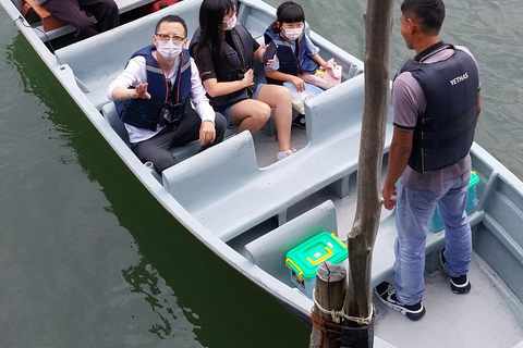 Bintan Tour Mangrove or Fireflies Fireflies Tour